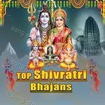 Top Shivratri Bhajans - Sonu Nigam Song Download